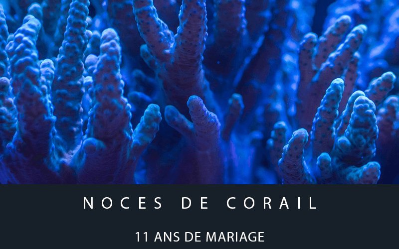 11 ans mariage noces corail