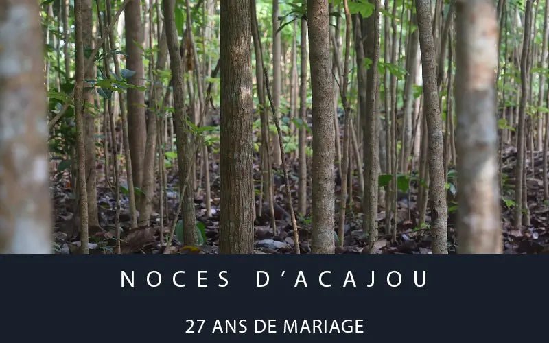 27 Ans De Mariage Noces D Acajou 15 Id es Cadeaux 2026 MARIAGE TERNEL 27-ans-de-mariage-noces-d-acajou-15-id-es-cadeaux-2026-mariage-ternel